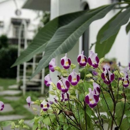 Hasayaki Homestay Sanxing Esterno foto